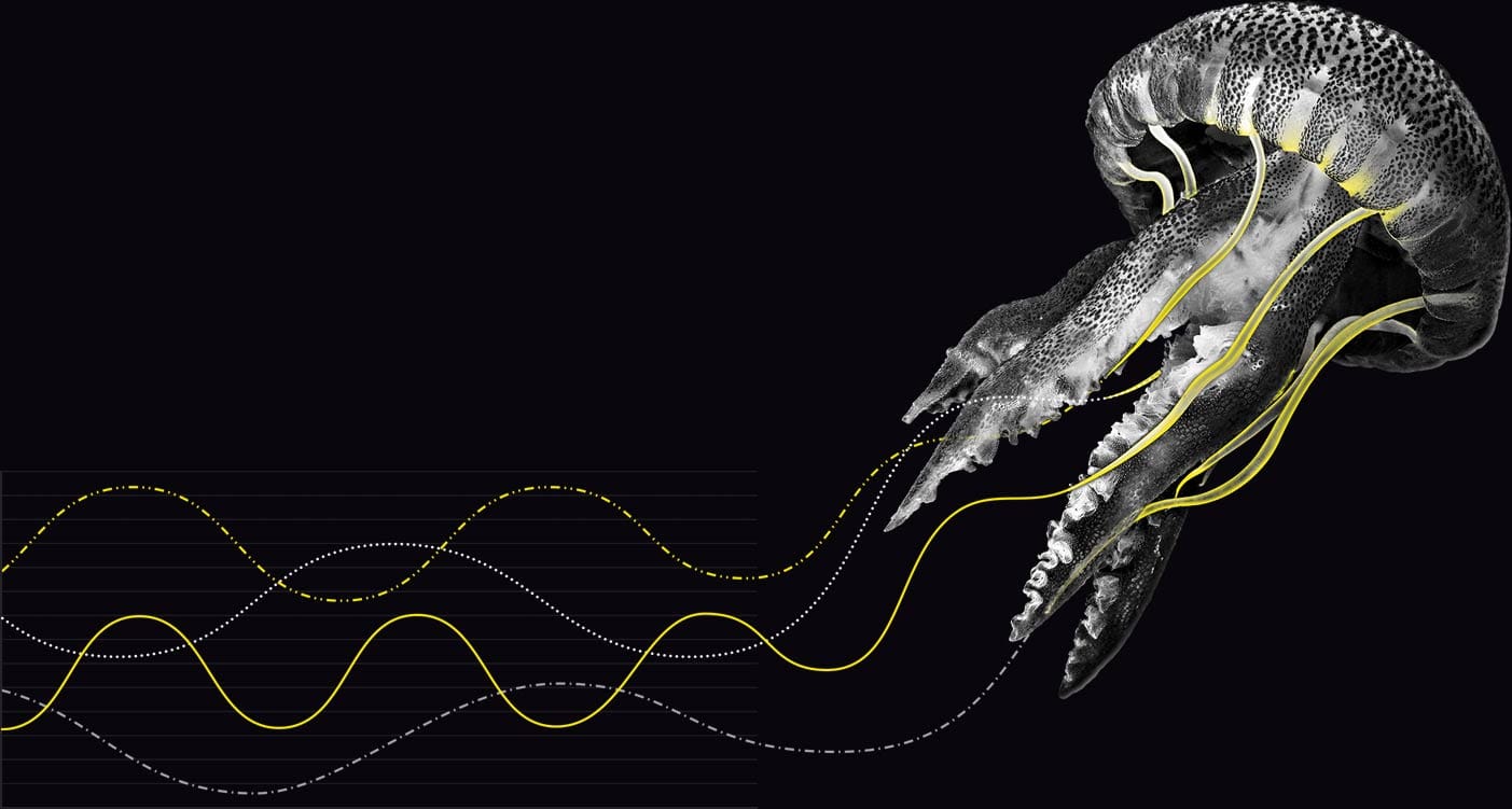 Depth of SEO data visualisation