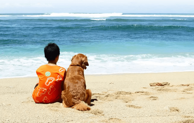 City Beach Veterinarians