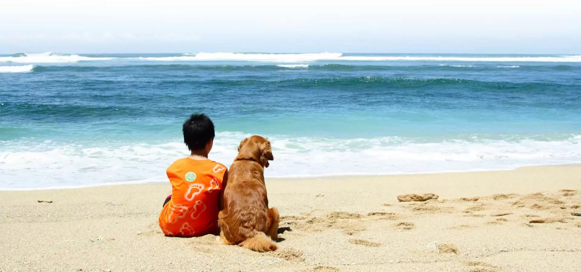 City Beach Veterinarians