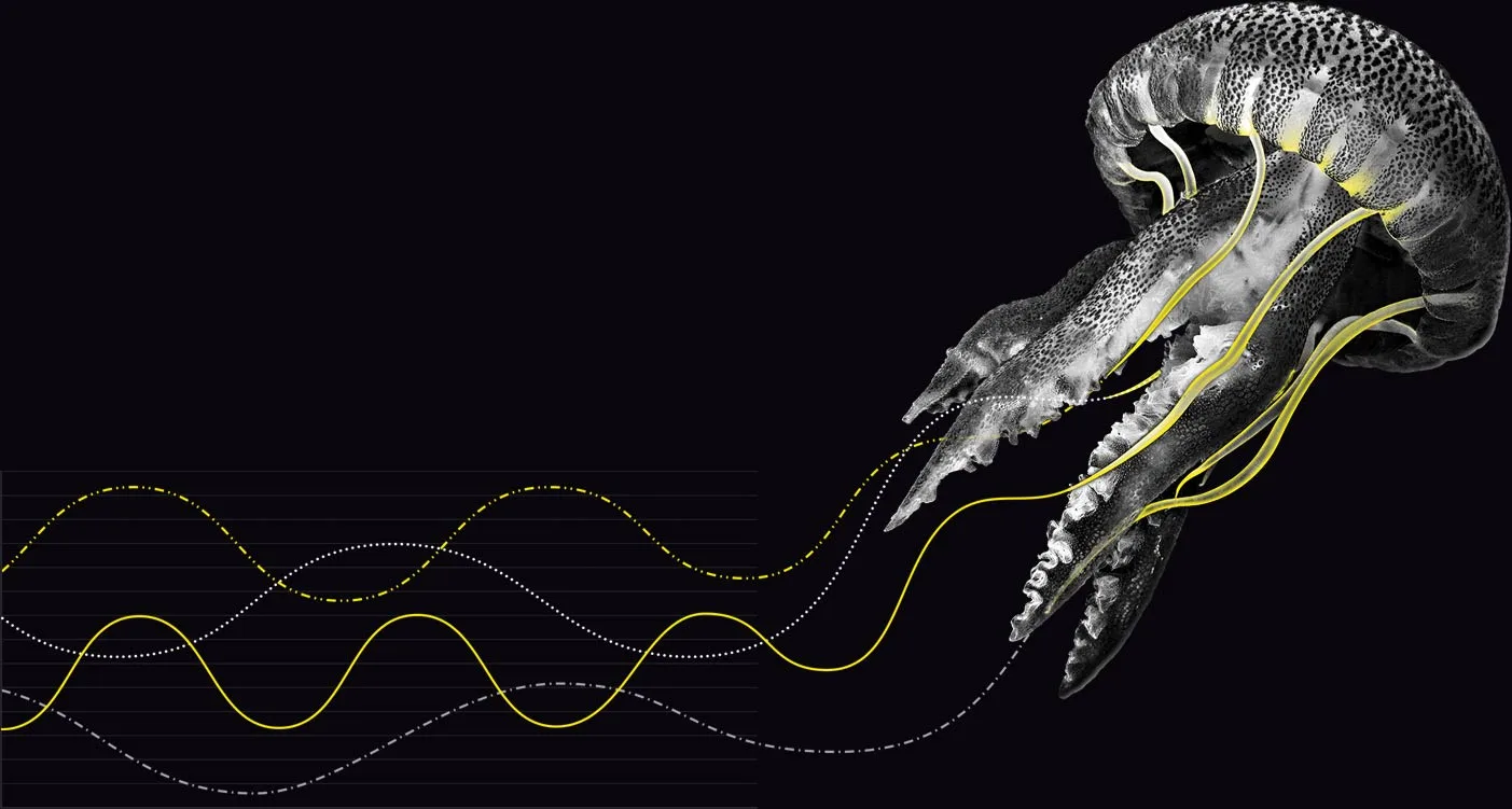 Depth of SEO data visualisation